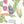PLDM2025-EdgyVeggies - Zoomview