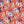 PLDM2026-PansyYouLater - Colorway 1