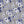 PLDM2026-PansyYouLater - Colorway 4