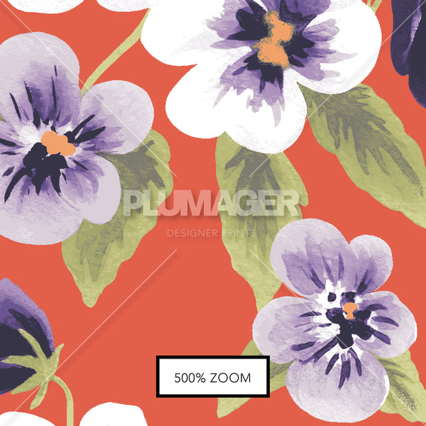 PLDM2026-PansyYouLater - Zoomview 
