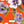 Pansy You Later - Layered