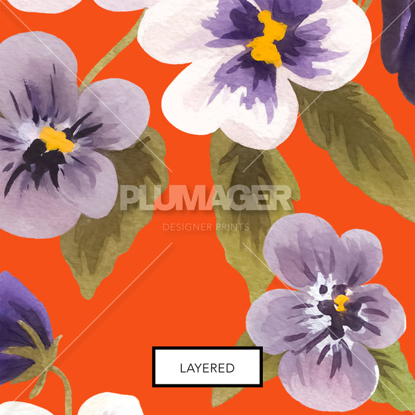 Pansy You Later - Layered