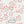 PLDM2032-FlowerPop - Zoomview