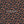 PLDM2033-FallingFloral - Colorway 3