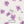 PLDM2033-FallingFloral - Zoomview