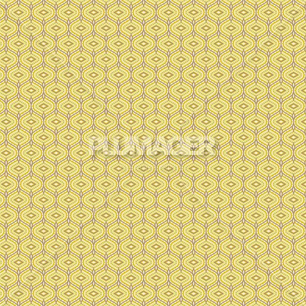 PLDM2042-IndiraGeo - Colorway 5
