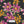 PLDM2051-MauiMagic- Zoomview