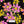 Maui Magic  - PLDM2151