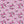 PLDM2053-CordeliaFloral - Colorway 4