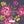 PLDM2053-CordeliaFloral - Zoomview 