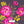 Cordelia Floral - Layered