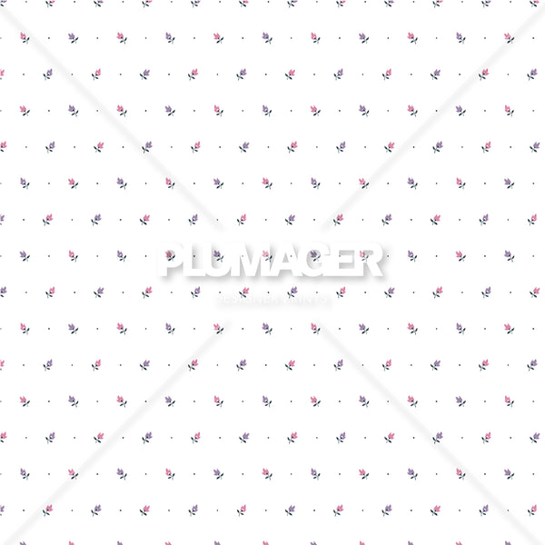 PLDM2063-SweetNeat - Colorway 1