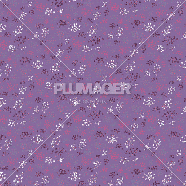 PLDM2069-FieldDaisy - Colorway 3