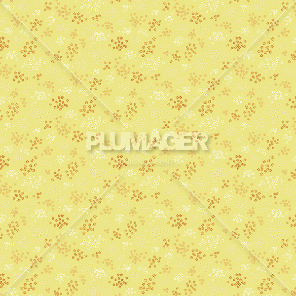 PLDM2069-FieldDaisy - Colorway 4