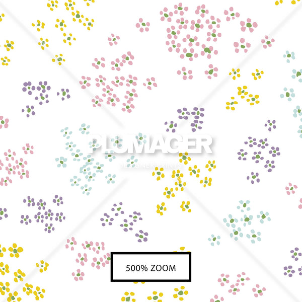 PLDM2069-FieldDaisy - Zoomview
