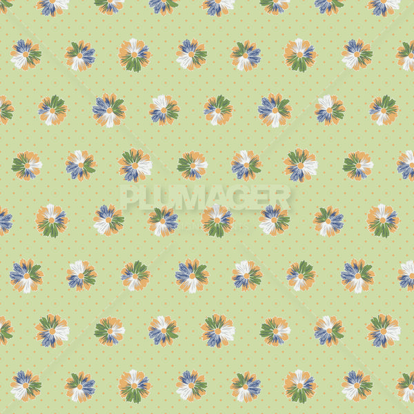 PLDM2101-ClarissaDaisy - Colorway 5