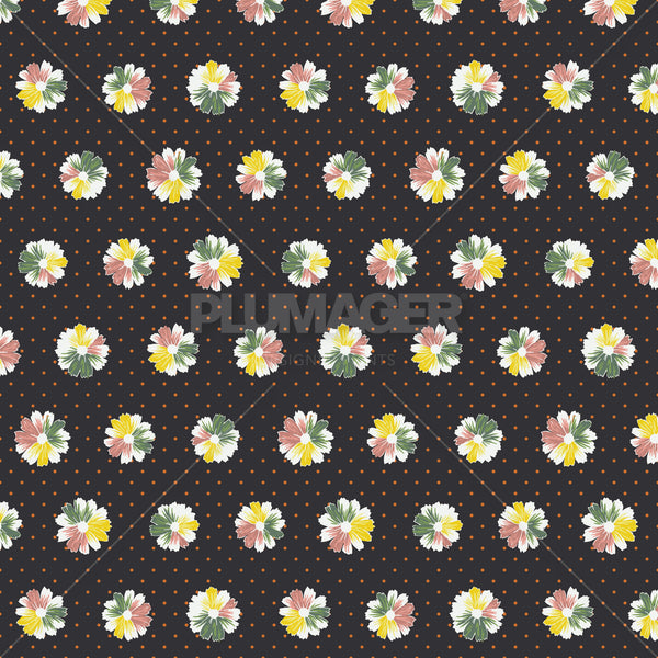 PLDM2101-ClarissaDaisy - Colorway 4