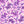 Opulent Oxalis - Swatches 1