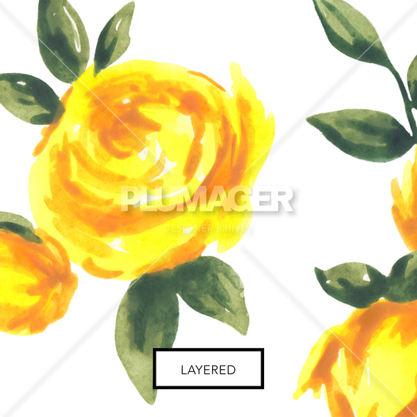 Golden Roses - PLDM2117