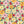 PLDM2123-SabineFloral- Colorway 4