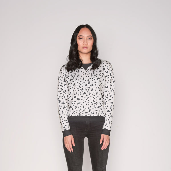 Dalmation Nation - Mockup 1
