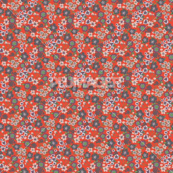 Ashley Floral - Colourway 2