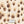 PLDM2130-CharmingCheetah- Zoomview