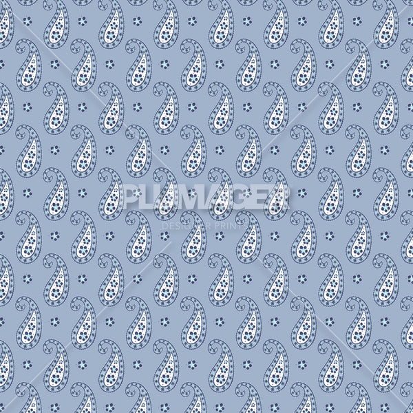 Adita Paisley - Colourway 3