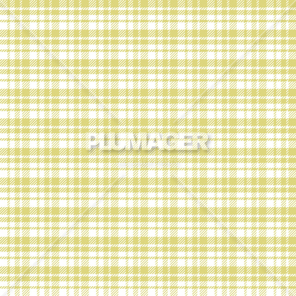 Gramercy Gingham - Swatches 5