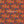 PLDM2163-RetroDaisies - Colorway 1