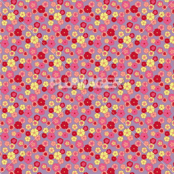 PLDM2164-ElsieFloral - Colorway 2