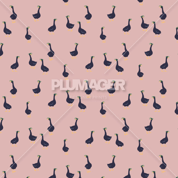 PLDM2177-FastandGoose - Colorway 5