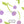 Charlie Cherry - PLDM2305
