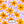 Boulevard Floral - PLDM2187