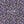 PLDM2188-SiezeTheDaisy - Colorway 1