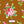Merchant Rose - PLDM2192