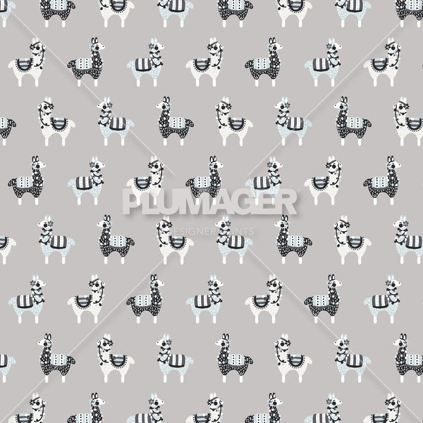 PLDM2198-PinataParty - Colorway 4
