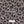 Lefferts Leopard - Swatches 6