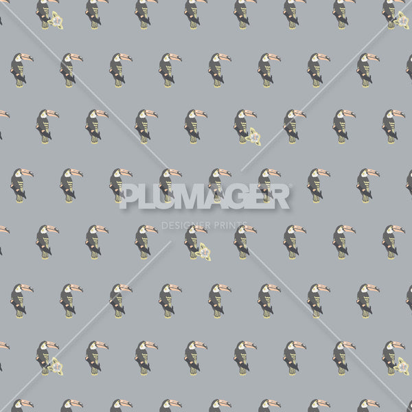 PLDM2217-ItTakesToucan - Colorway 5