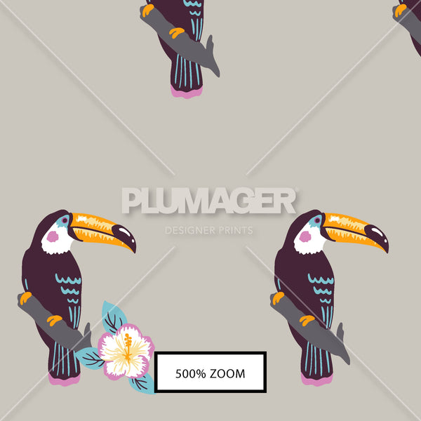 PLDM2217-ItTakesToucan - Zoomview