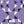 Geo Ogee - Swatches 6