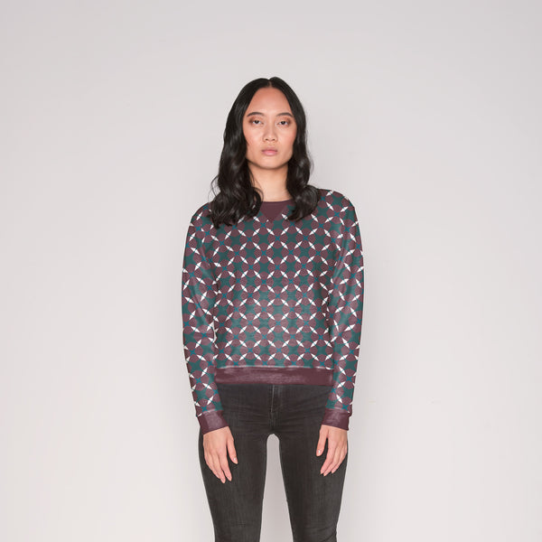 PLDM2228-FacetGeo - Mockup 2