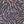 PLDM2241-SpiderTieDye - Colorway 1