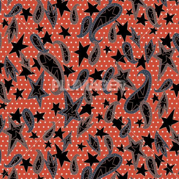 PLDM2242-ParadePaisley - Colorway 2