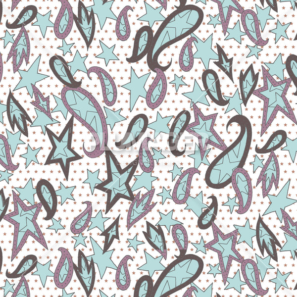 PLDM2242-ParadePaisley - Colorway 3