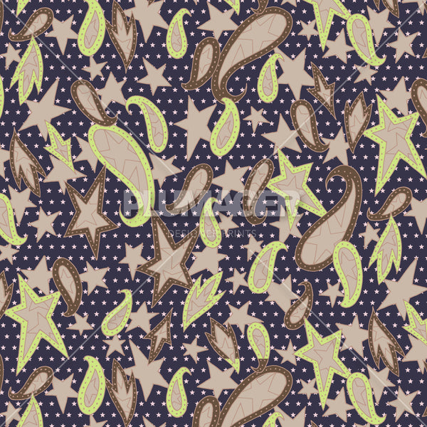 PLDM2242-ParadePaisley - Colorway 4
