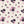 Veronica Floral - Swatches 4