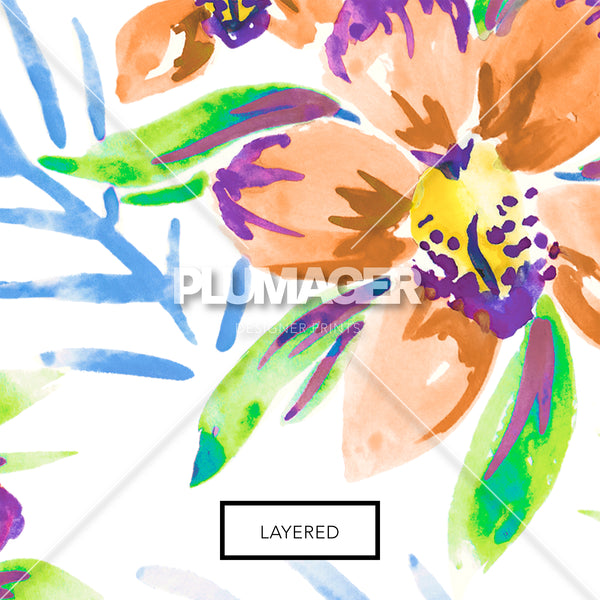 Orchid Oasis - PLDM2255