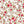 PLDM2257-RoseExplosion - Colorway 2