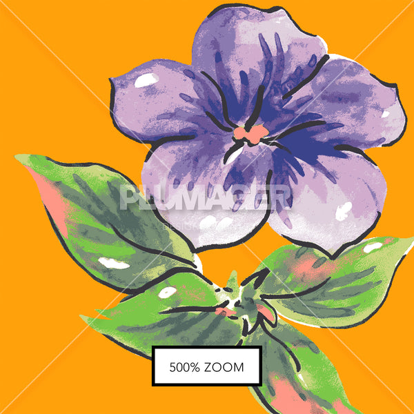 Afternoon Petunia- Zoom